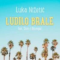 Ludilo Brale