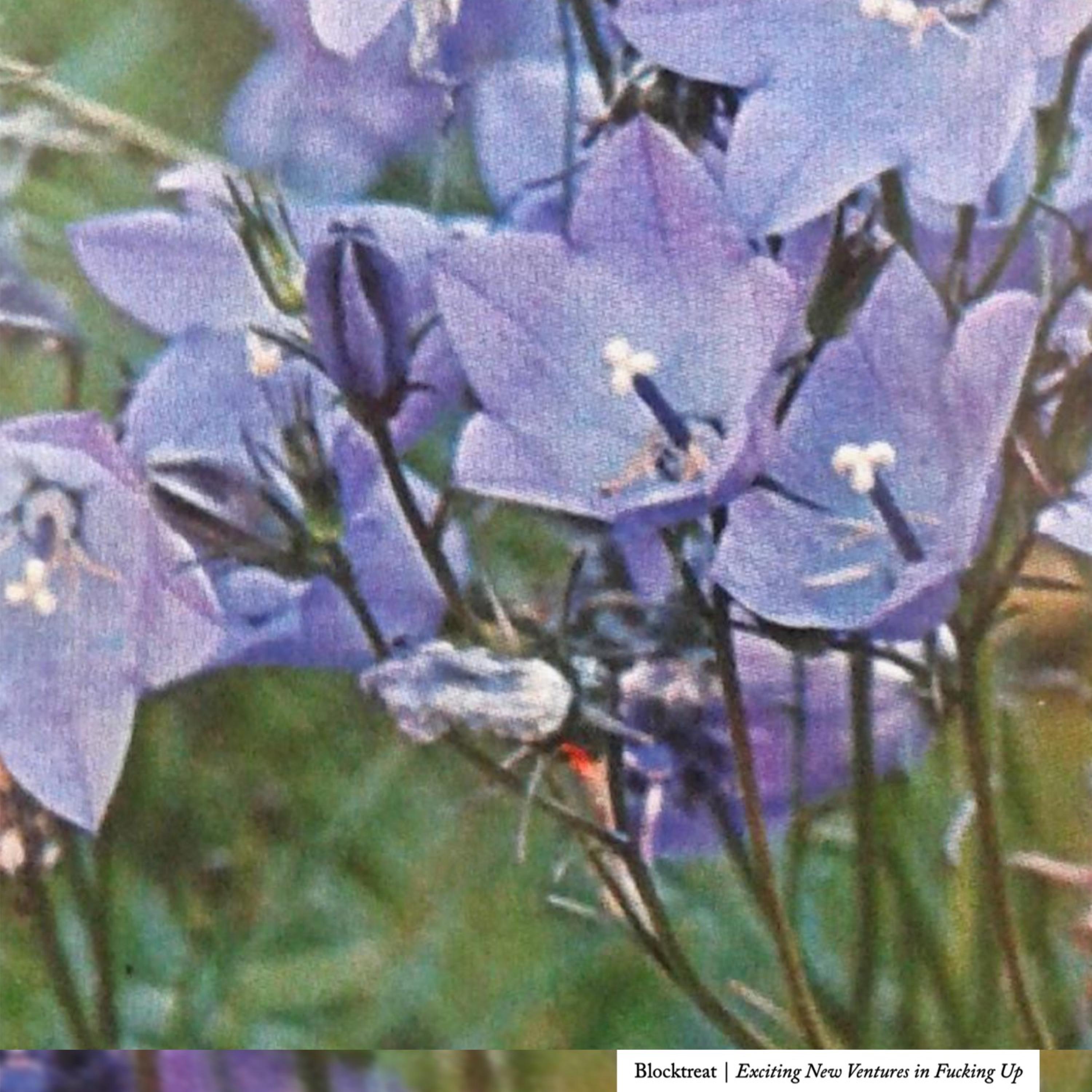 Exciting New Ventures in Fucking Up