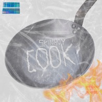 Cook - Single - Skinboy