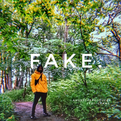 Fake (feat. Chawe) - Single