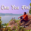 Can You Feel - Single