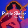 Purple Shelter - Single