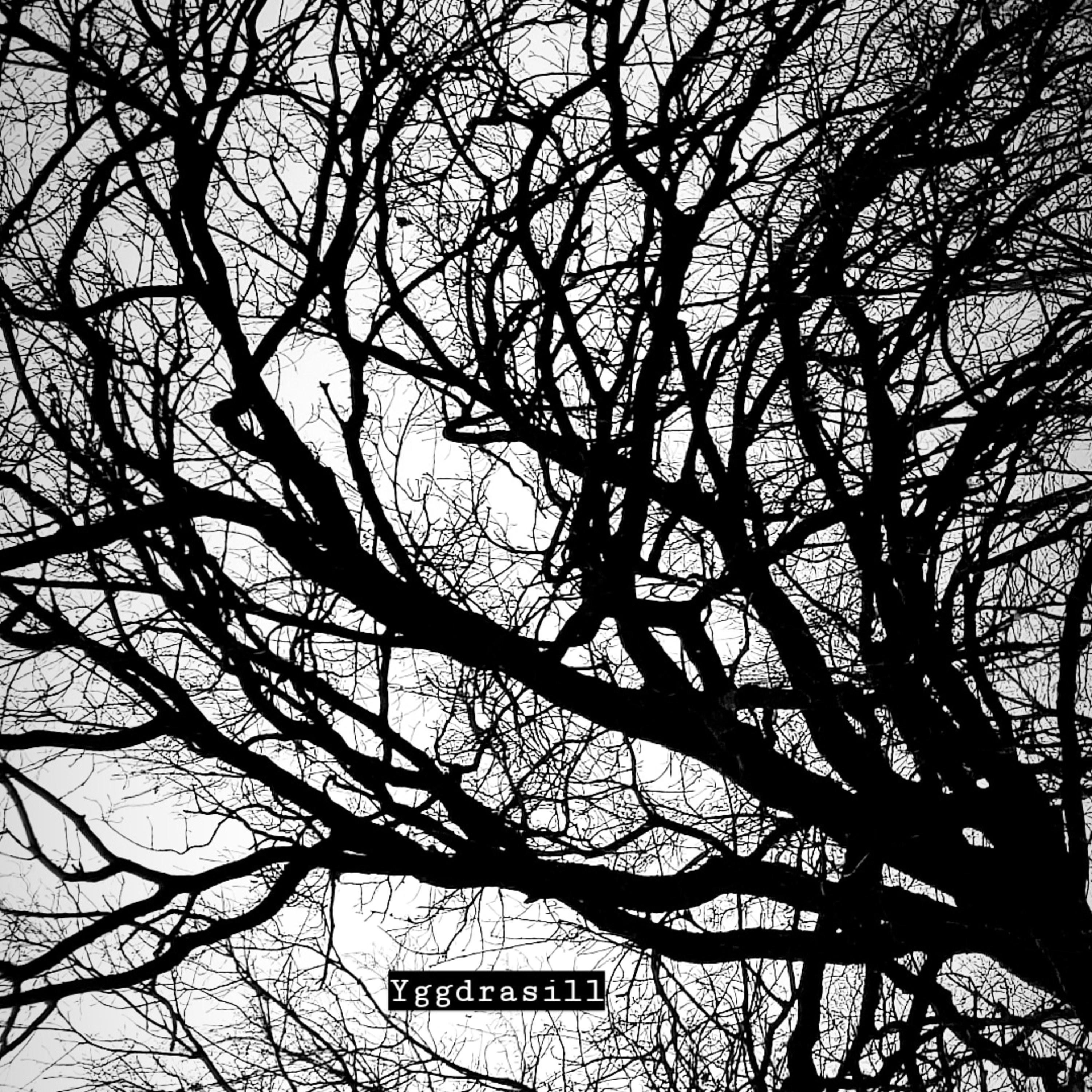Yggdrasill