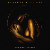 The Love Factor artwork