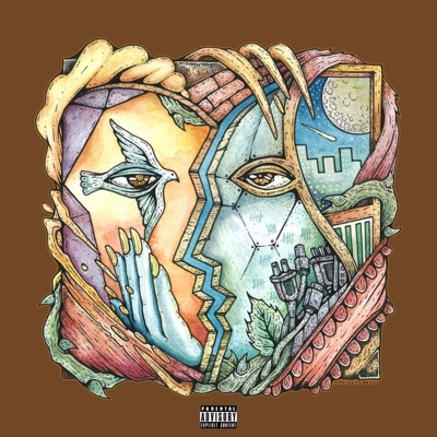 How Many Days - Single