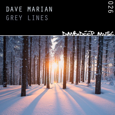 Grey Lines - Single