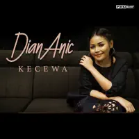Kecewa — Dian Anic