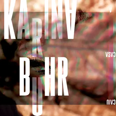 A Casa Caiu - Single - Karina Buhr
