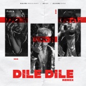 Dile Dile (Remix) artwork