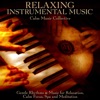 Relaxing Instrumental Music: Gentle Rhythms & Music for Relaxation, Calm Focus, Spa and Meditation