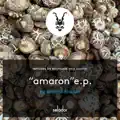 Amaron (Baime Remix)