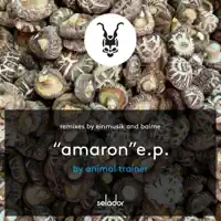 Amaron (Baime Remix) — Animal Trainer