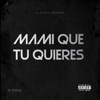DJ Ofreck - Mami Que Tu Quieres