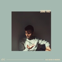 Shine Thief - Single - RMS