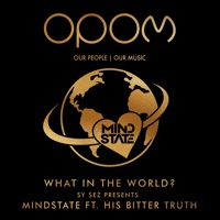 What in the World? (feat. His Bitter Truth) - Single - Sy Sez Presents & Mind: State