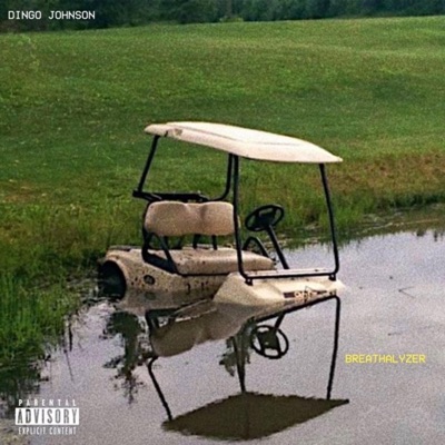 Breathalyzer - Single