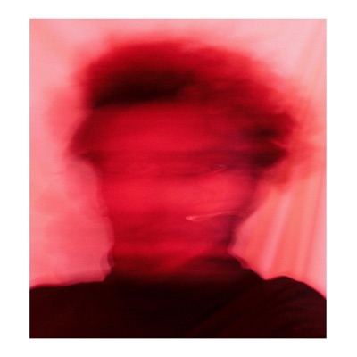 WILDFIRE (feat. Sekani BRGHTN) - Single