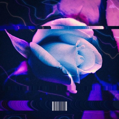 Beautiful Disaster - Single