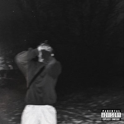 zvyklej (feat. Trespo) - Single