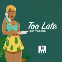 Too Late - Single - Igor Mabano
