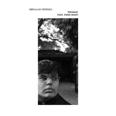 Prosaic (feat. Faris Shafi) - Single