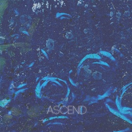 Ascend (feat. vowl.) Lukrative