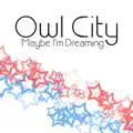 Owl City