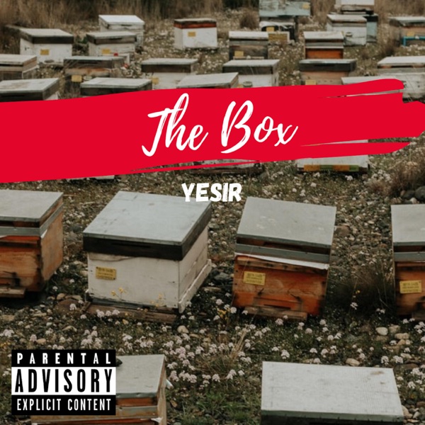 The Box - Single - Yesir