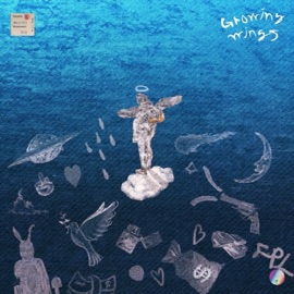 Do It for the Love Briel