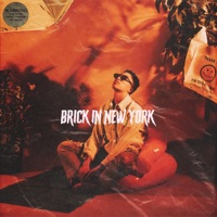 Brick in New York - Single - Delia Dane