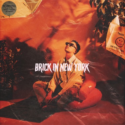 Brick in New York - Single