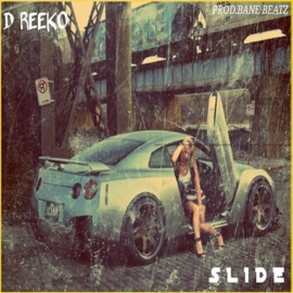 Slide D Reeko