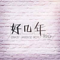 好幾年 - Single - Liu Xin