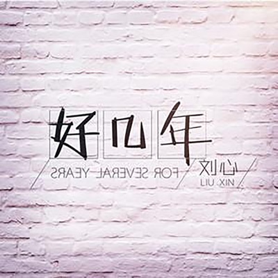 Liu Xin - 好幾年(伴奏)