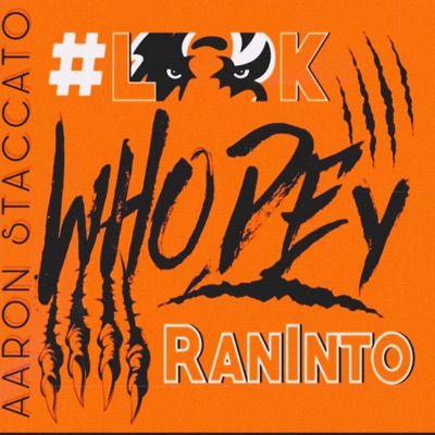 Look Who Dey Ran Into - Single