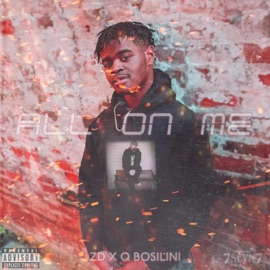 All on Me (feat. Q Bosilini) Zd