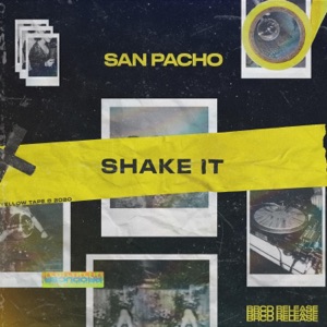 Shake It - Single