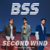 Fighting (feat. Lee Young Ji) - BSS