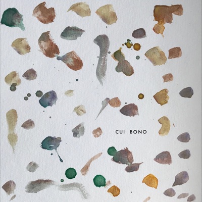 Cui Bono