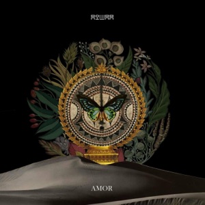 Amor - Single