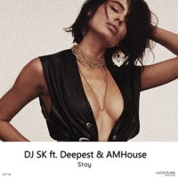 Stay - Single - DJ SK (MA), Deepest & AMHouse