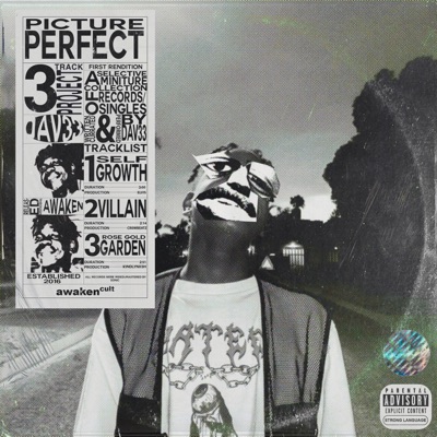 Picture Perfect - Single