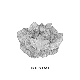 Унесёт ночь GENIMI