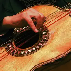 聆聽 Musica Mexicana、觀看音樂影片、閱讀小傳、查看巡演日期等！