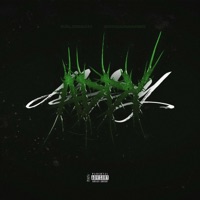 Addy (feat. Bogdanamigo) - Single - Goldbach