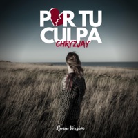 Por Tu Culpa - Single - Chryz Jay