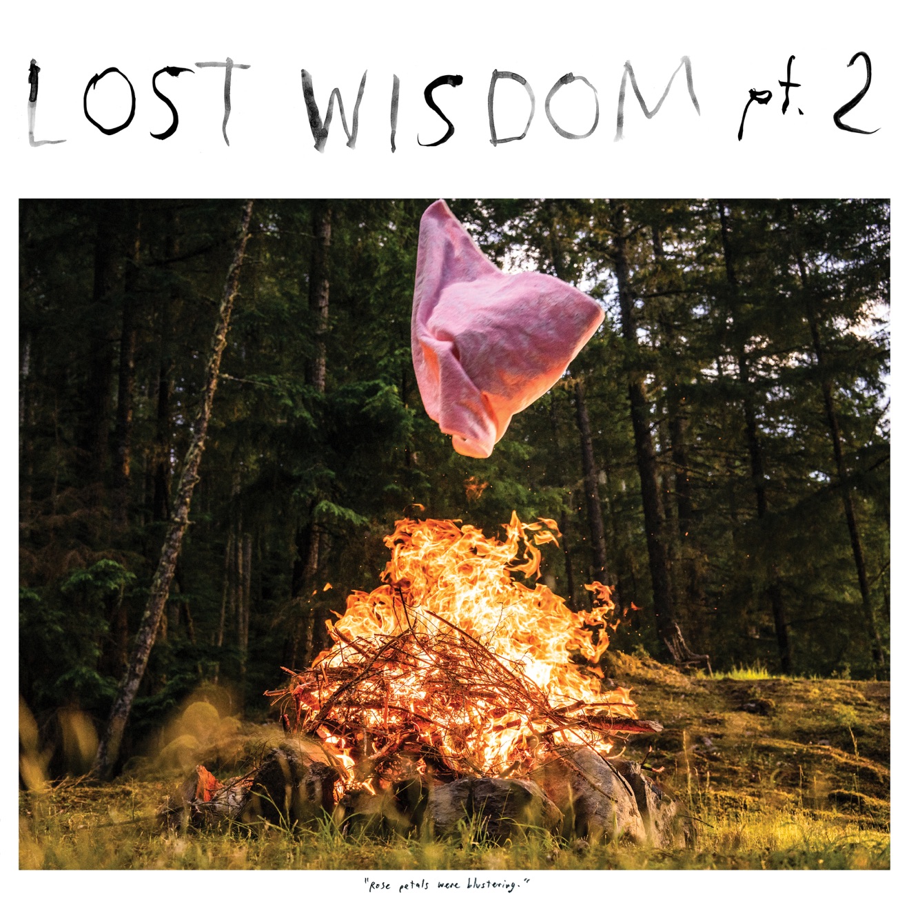 Mount Eerie – Lost Wisdom, Pt. 2 (feat. Julie Doiron) (2019) [iTunes Match M4A]