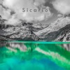 Sicario - Single