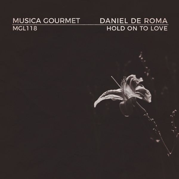 Hold On to Love - Single