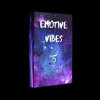 Emotive Vibes - Alexx La Bay